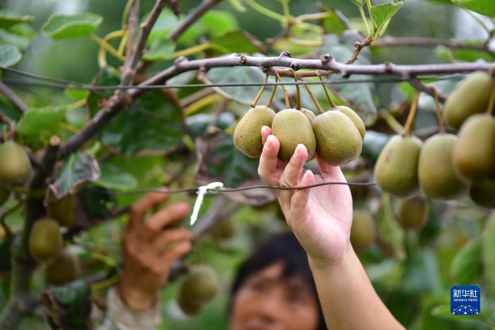 u乐注册网站星金宝